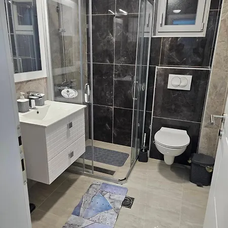 Curcic Apartman Soko Banja